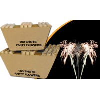 1 İnç 100 Atımlık Çapraz Batarya